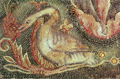 Swan, restored by Roman